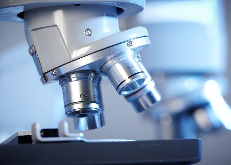 microscopio
